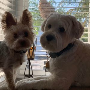 Meet your Posher, Yesi